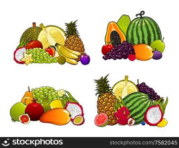 Tropical and farm garden fruits, organic healthy food. Vector exotic fruits pineapple, mango and papaya, farmer watermelon, orange and pomegranate, grapes, apple and pear, durian and guava. Exotic farm fruits, tropical fruity desserts