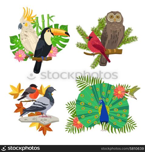 Tropical and forest birds on tree branches with flowers isolated vector illustration. Birds And Flowers Set