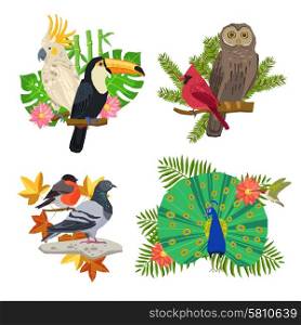 Tropical and forest birds on tree branches with flowers isolated vector illustration. Birds And Flowers Set