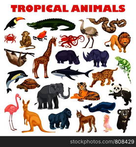 Tropical animal concept background. Cartoon illustration of tropical animal vector concept background for web design. Tropical animal concept background, cartoon style