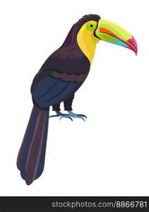 Tropical avian animal, isolated exotic bird with large beak and claws. Fauna and wilderness of warm countries. Character with colorful plumage and feathers, long bright tail. Vector in flat style. Exotic bird with big beak, tropical avian animal