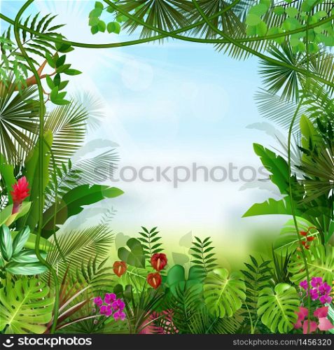 Tropical background beautiful .Vector