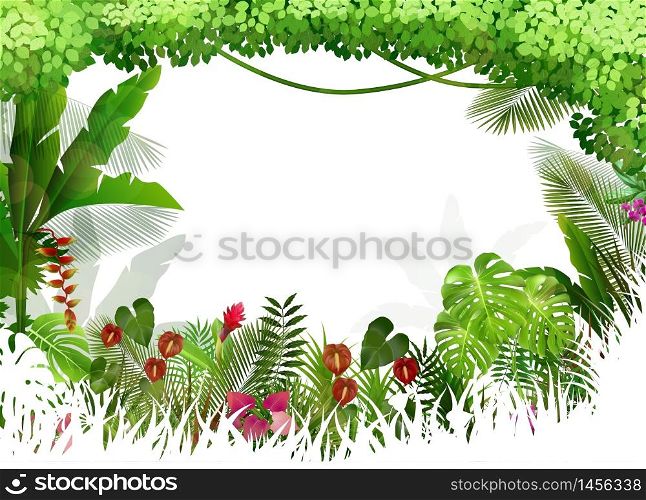 Tropical background beautiful .vector