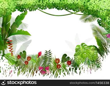 Tropical background beautiful .vector