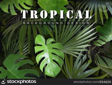 Tropical Background with Jungle Plants
