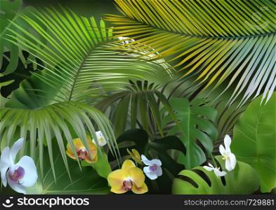 Tropical Background with Photorealistic Vegetation
