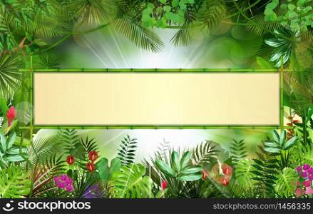 Tropical background with rectangle floral frame in concept bamboo.vector