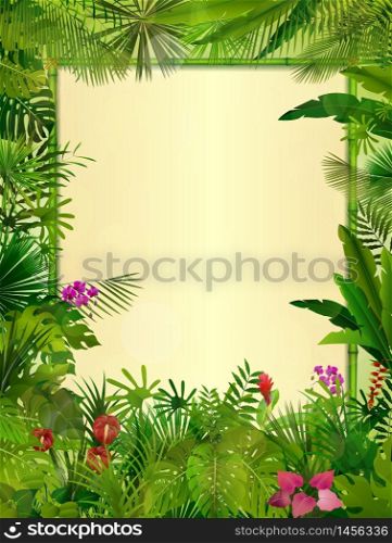 Tropical background with rectangle floral frame in concept bamboo .vector
