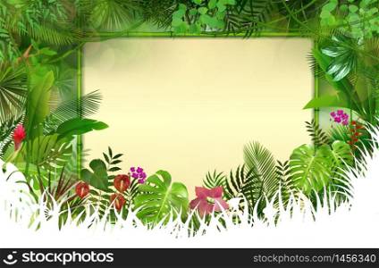 Tropical background with rectangle floral frame in concept bamboo.vector