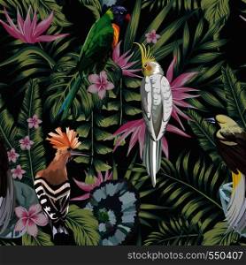 Tropical birds parrot, hoopoe, plants leaves flowers frangipani (plumeria) abstract color black background. Seamless vector pattern
