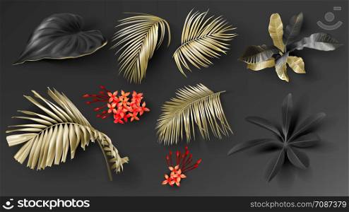 Tropical black and gold leaves on dark background vector set. Beautiful botanical isolated design element, golden tropic jungle palm leaves, exotic red flower and rain forest plants.. Tropical black and gold leaves on dark background