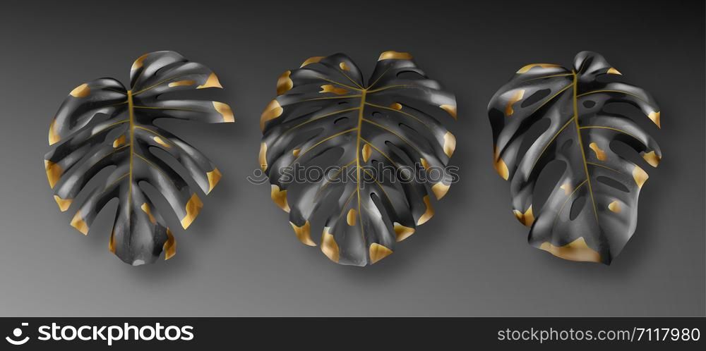 Tropical black and gold monstera leaves on dark background vector set. Beautiful botanical isolated design element, tropic jungle palm plant, exotic philodendron leaf. Tropical black and gold monstera leaves