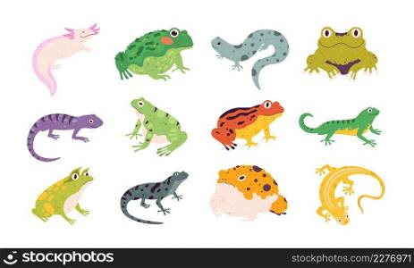 Tropical colorful decorative&hibian frogs, lizards and toads. Terrarium reptile animals, salamander, axolotl and newt. Frog vector set. Different fauna characters in wildlife or zoo. Tropical colorful decorative&hibian frogs, lizards and toads. Terrarium reptile animals, salamander, axolotl and newt. Frog vector set