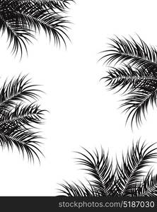 Tropical design with black palm leaves and plants on white background, vector illustration