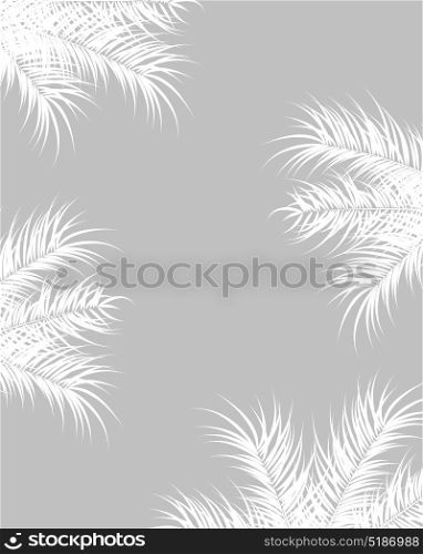 Tropical design with white palm leaves and plants on gray background, vector illustration
