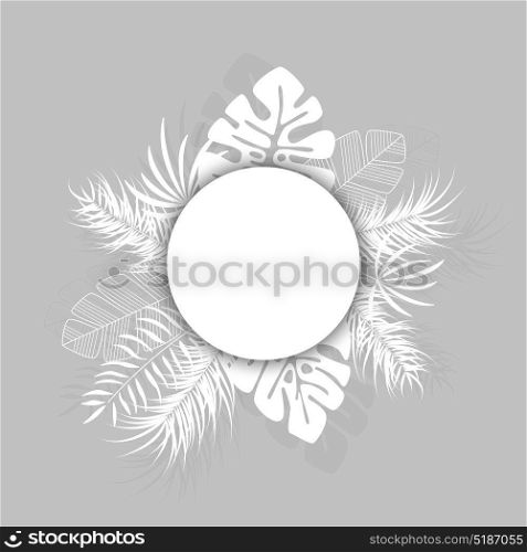 Tropical design with white palm leaves and plants on gray background with place for text, vector illustration
