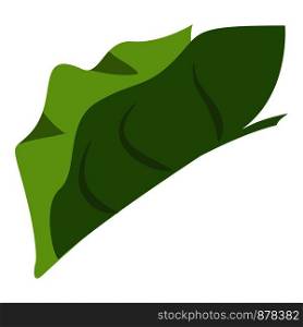 Tropical elephant ear leaf icon. Cartoon of tropical elephant ear leaf vector icon for web design isolated on white background. Tropical elephant ear leaf icon, cartoon style