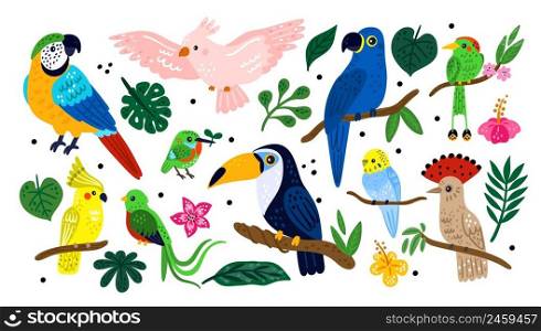 Tropical exotic birds. Cute colorful jungle flying animals. Palm leaves and flowers. Different parrots on rainforest branches. Funny toucan or hummingbirds. Vector decorative nature creatures set. Tropical exotic birds. Cute colorful jungle animals. Palm leaves and flowers. Different parrots on rainforest branches. Toucan or hummingbirds. Vector decorative nature creatures set