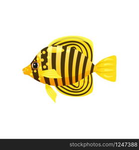 Tropical exotic Butteflyfish, bright colorful coloring. Tropical exotic Butteflyfish, bright colorful coloring, vector isolated on white background, cartoon style