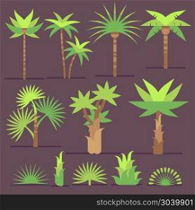 Tropical exotic plants and palm trees vector flat icons. Tropical exotic plants and palm trees vector flat icons. Set of trees with green leaves, illustration of summer tree