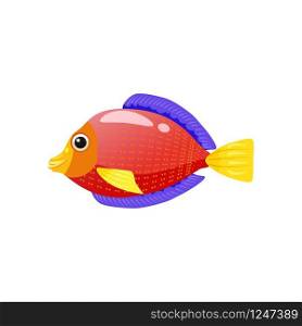 Tropical exotic red Discus fish, bright colorful coloring. Tropical exotic red Discus fish, bright colorful coloring, vector isolated on white background, cartoon style