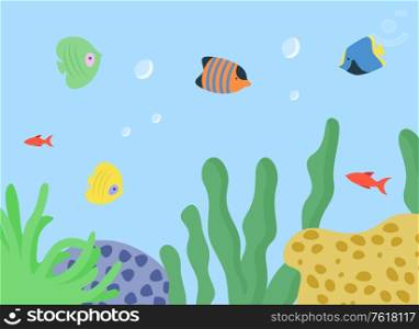 Tropical fish and exotic plants growing underwater vector. Tropics wildlife flora and fauna, seaweed decor aquatic vegetation. Sea water dwellers. Aquarium with Fish and Seaweed Underwater Species