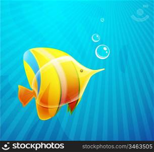 Tropical fish in water