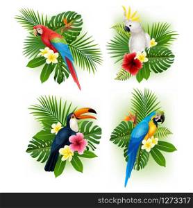Tropical flower and bird collection set