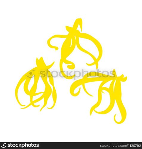Tropical flower flat ylang-ylang Cananga . Vector illustration.. Tropical flower - ylang-ylang Cananga . Vector illustration. flat