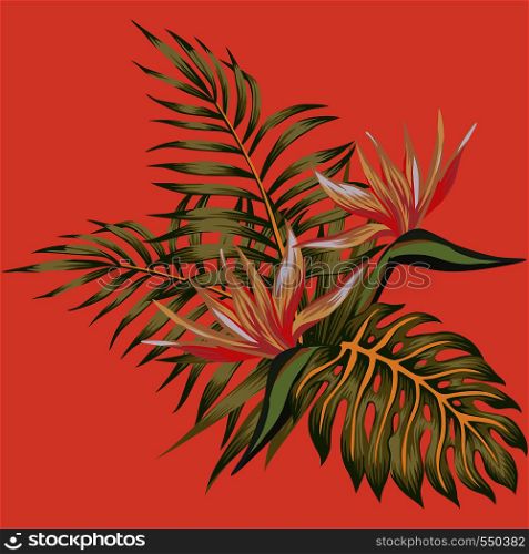 Tropical flowers bird of paradise (strelizia) and palm leaves exotic composition. Living coral background
