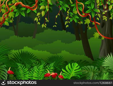 Tropical forest background