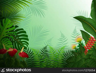 Tropical forest background