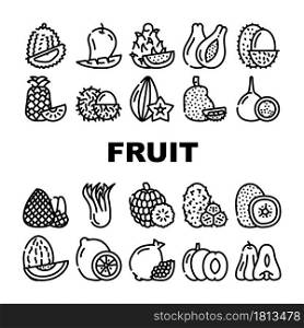 Tropical Fruit Delicious Food Icons Set Vector. Mango And Durian, Papayas And Lychee, Pineapple And Custard Apple, Pomegranate And Kiwi Exotic Fruit. Natural Vitamin Nutrition Contour Illustrations. Tropical Fruit Delicious Food Icons Set Vector