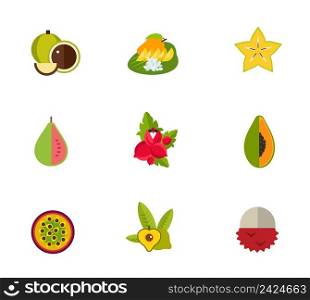 Tropical fruit icon set. Macadamia Thai dessert Carambola Guava Guarana Papaya Passion fruit Lucuma Lychee