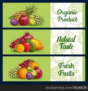 Tropical fruits banners sketch, farm market food, vector orange citrus, apple, pear and mango. Exotic tropical fruit pineapple, peach, and pomegranate, white and red grape, apricot and hand drawn plum. Tropical fruits banners sketch, farm market food