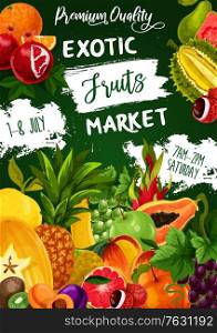 Tropical fruits, farm food exotic garden fruits, vector papaya, peach and apple. Tropical fruits farm market orange and pineapple, mango and exotic durian, figs and lychee, pomegranate and grapes. Tropical fruits, farm food exotic garden fruits
