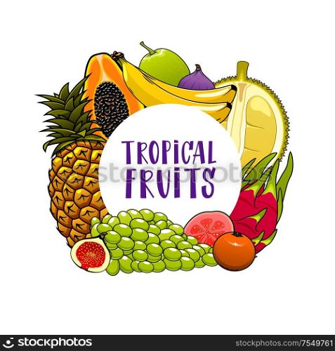 Tropical fruits isolated banner. Vector pineapple and grapes, banana and citrus tangerine, feijoa and fig. Papaya, starfruit and lychee, passionfruit and guava, tropical farm grocery fruits harvest. Exotic fruits frame, banana, papaya, grapes, guava