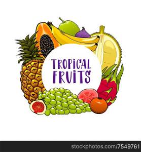 Tropical fruits isolated banner. Vector pineapple and grapes, banana and citrus tangerine, feijoa and fig. Papaya, starfruit and lychee, passionfruit and guava, tropical farm grocery fruits harvest. Exotic fruits frame, banana, papaya, grapes, guava