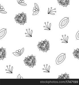 Tropical fruits line seamless pattern. Black and white botanical background. Vector illustration summer.. Tropical fruits line seamless pattern. Black and white botanical background. Vector illustration summer
