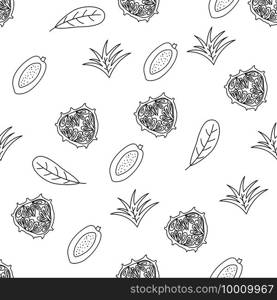 Tropical fruits line seamless pattern. Black and white botanical background. Vector illustration summer monoline.. Tropical fruits line seamless pattern. Black and white botanical background. Vector illustration summer monoline