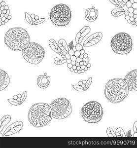 Tropical fruits line seamless pattern. Black and white botanical background. Vector illustration summer monoline.. Tropical fruits line seamless pattern. Black and white botanical background. Vector illustration summer monoline