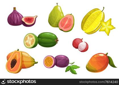 Tropical fruits, vector fig, carambola and papaya, mango, guava and passion fruit, feijoa and lychee. Exotic tropic fresh fruits assortment, orchard, farm market production isolated cartoon icons set. Tropical fruits, vector isolated cartoon icons set