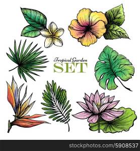 Tropical garden set of colored leaves and flowers isolated vector illustration. Tropical Leaves Set Color