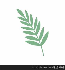 Tropical green leaf. African plant. Branch of palm tree.
