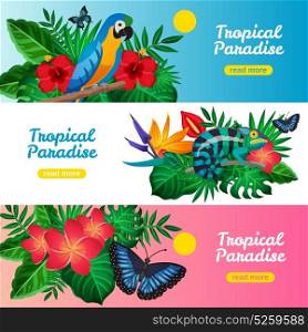 Tropical Horizontal Banner Set. Three colored tropical horizontal banner set with tropical paradise descriptions and read more buttons vector illustration