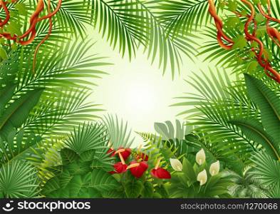 Tropical jungle background