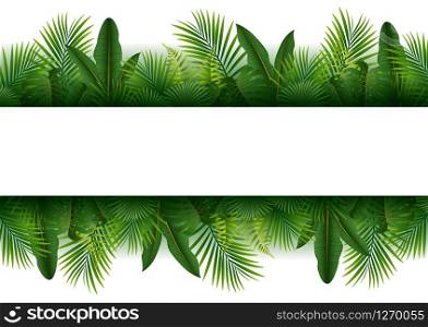Tropical jungle background with palm trees and leaves on white background