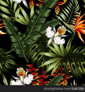 Tropical jungle vector flowers and leaves black background. Beach seamless pattern