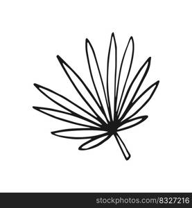 Tropical Leaf. Hand drawn vector illustration. Line art style isolated isolated on white background.