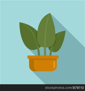 Tropical leaf houseplant icon. Flat illustration of tropical leaf houseplant vector icon for web design. Tropical leaf houseplant icon, flat style